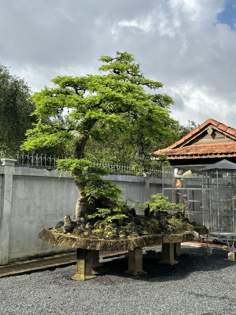 Biệt Thự Sân Vườn Tây Ninh